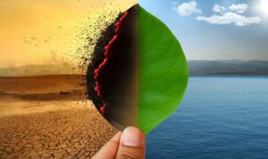 Climate Change
