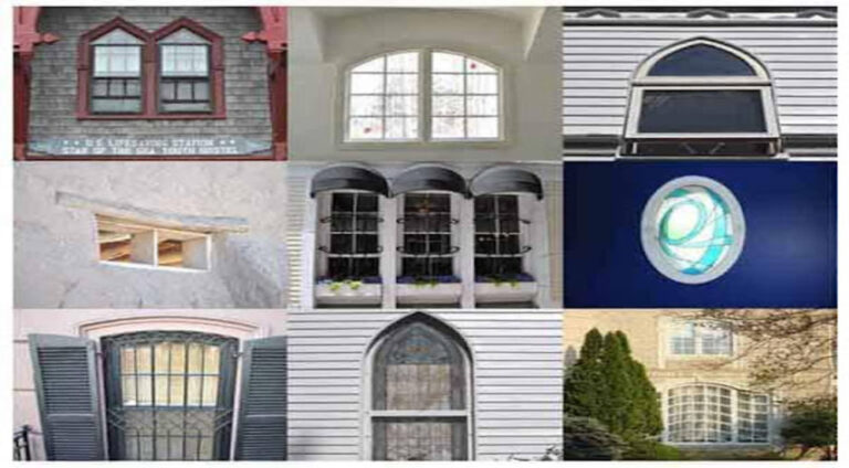 Concrete Jungles and Wild Hearts: