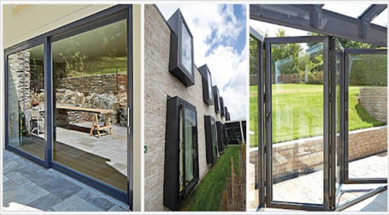 Concrete Jungles and Wild Hearts: