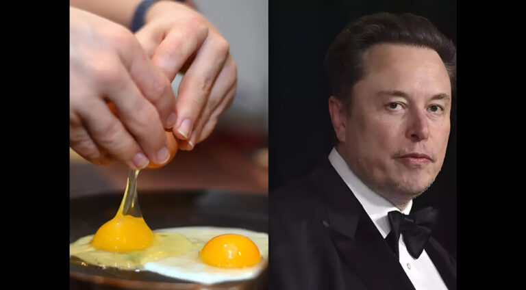 Elon Musk takes no more omelets after SpaceX launch cracks bird eggs.